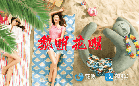 有条不紊花呗